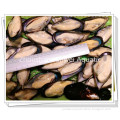 /msite/products/detail/productid/59402646/id/999978.html